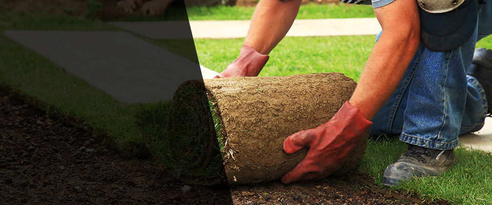 Warrior Landscapers